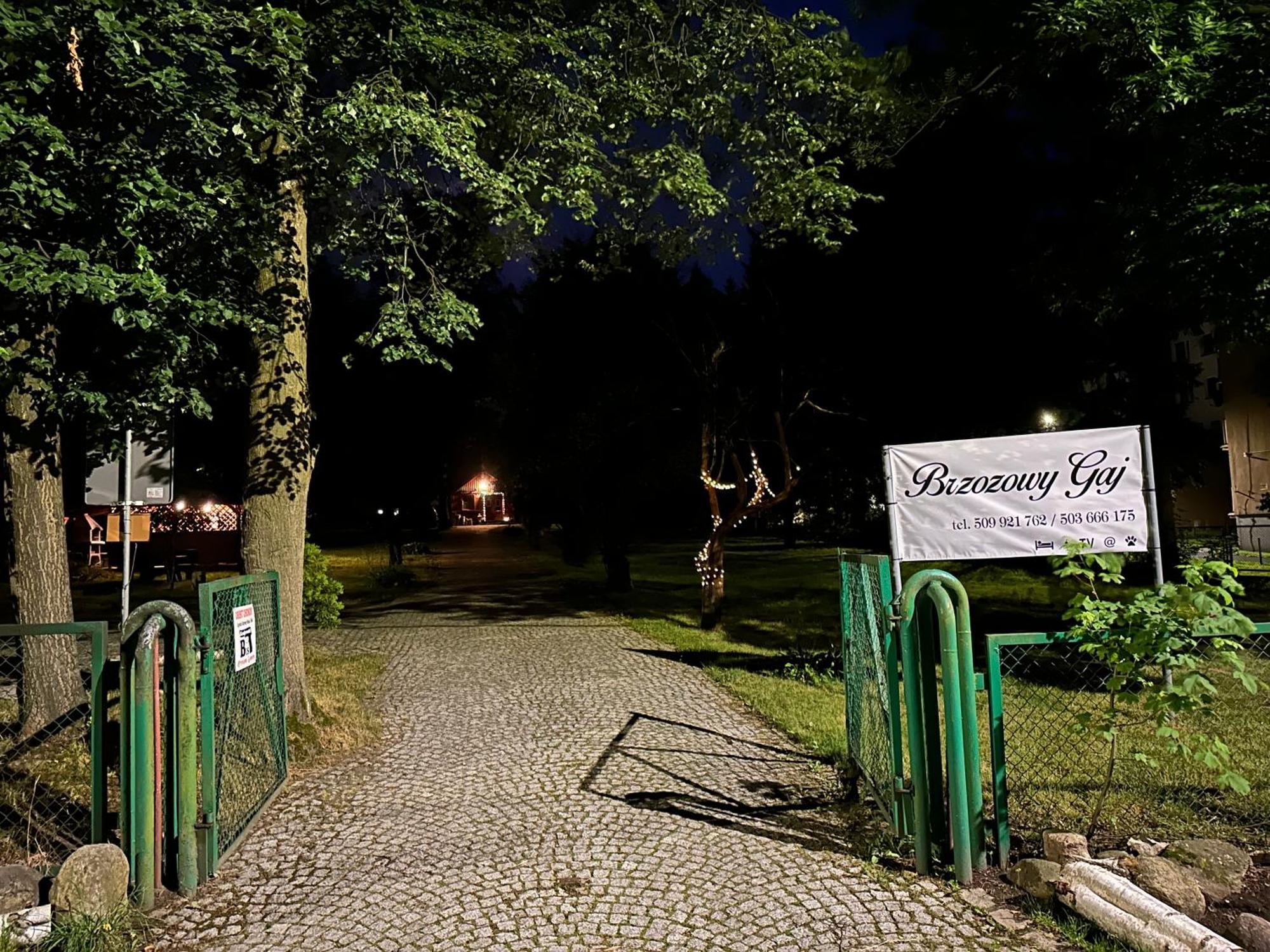 Villa Brzozowy Gaj 卡尔帕奇 外观 照片